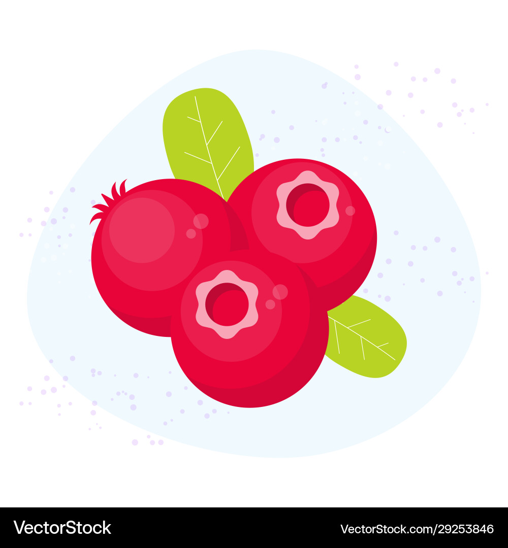 Cranberry icon flat cartoon berry Vector Image