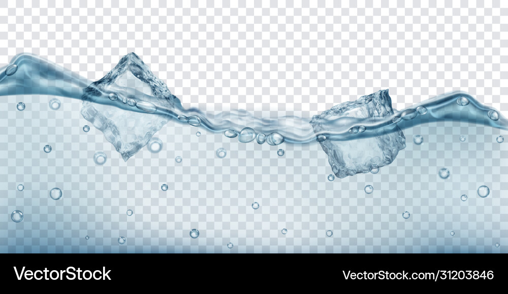 Ice cubes floating in water Vector Image