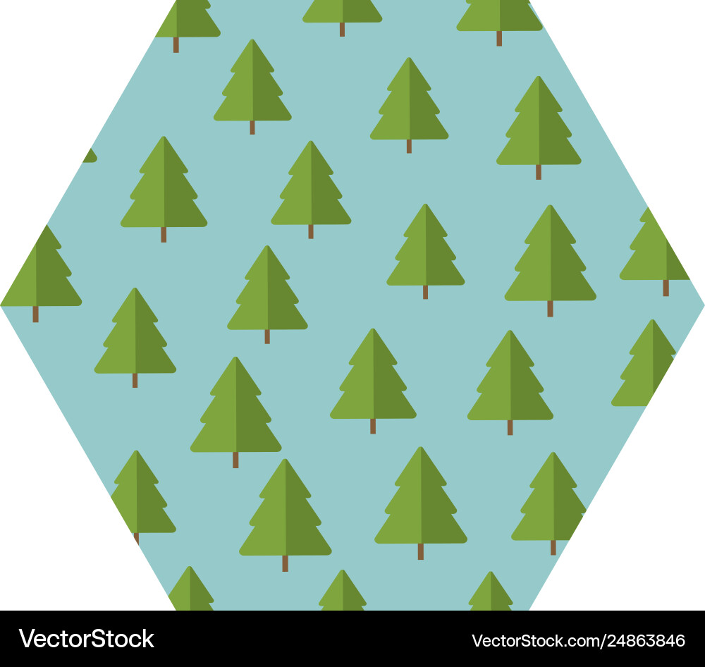 Tree pines pattern hexagon frame Vector Image