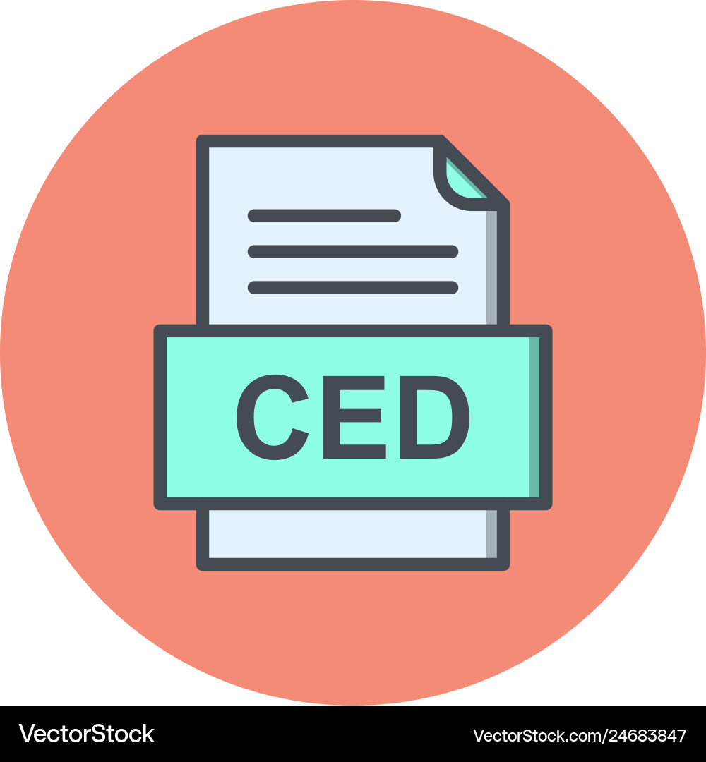 Ced file document icon Vector Image
