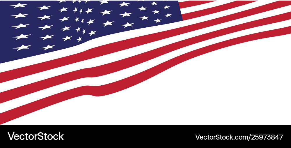 Flag american icon Flag american icon vector image