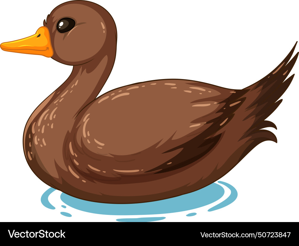 Graphic of a brown duck floating calmly Vector Image