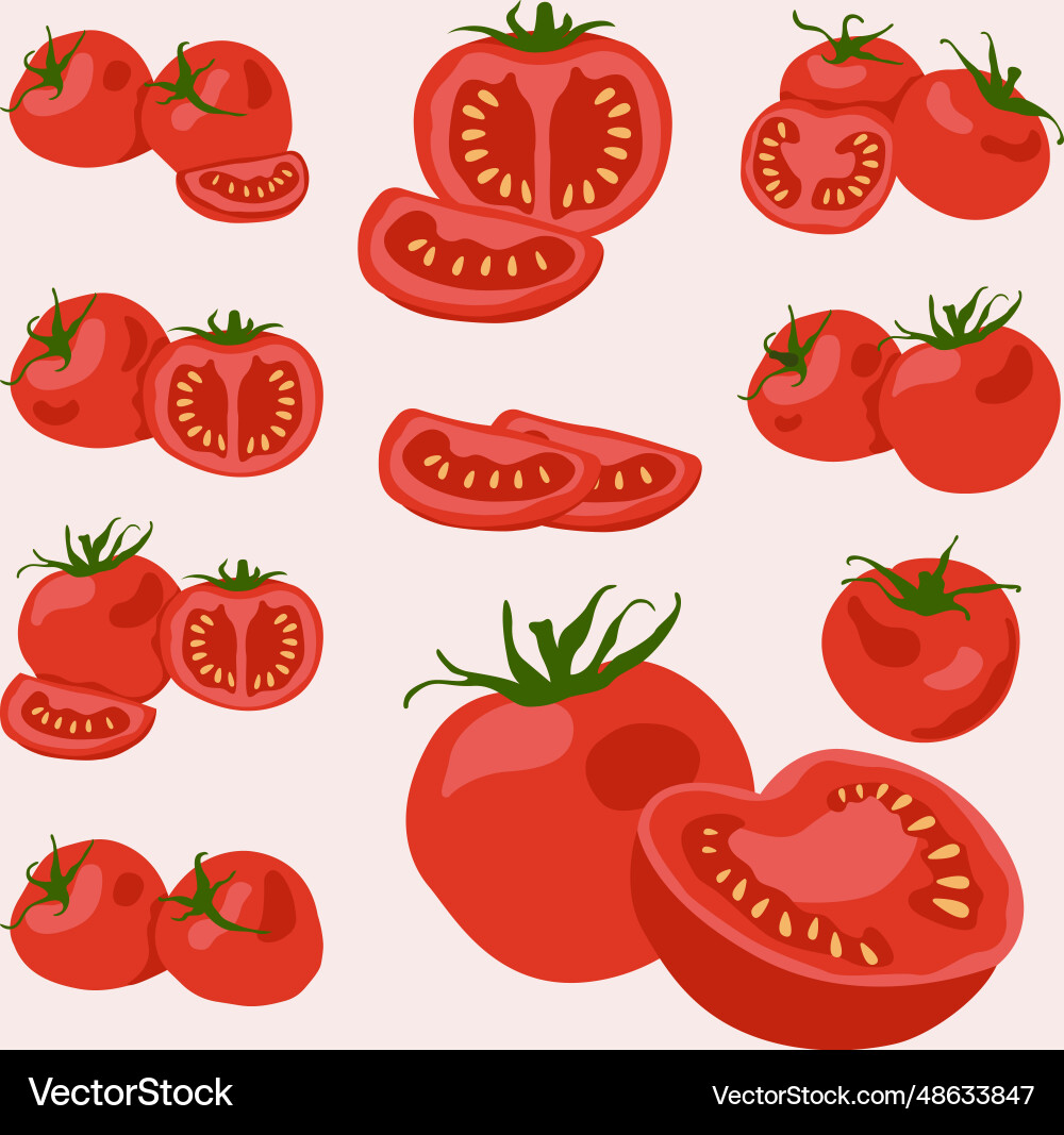 Red tomato vegetable collection Royalty Free Vector Image