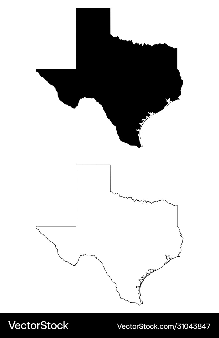 Texas State Map vector image