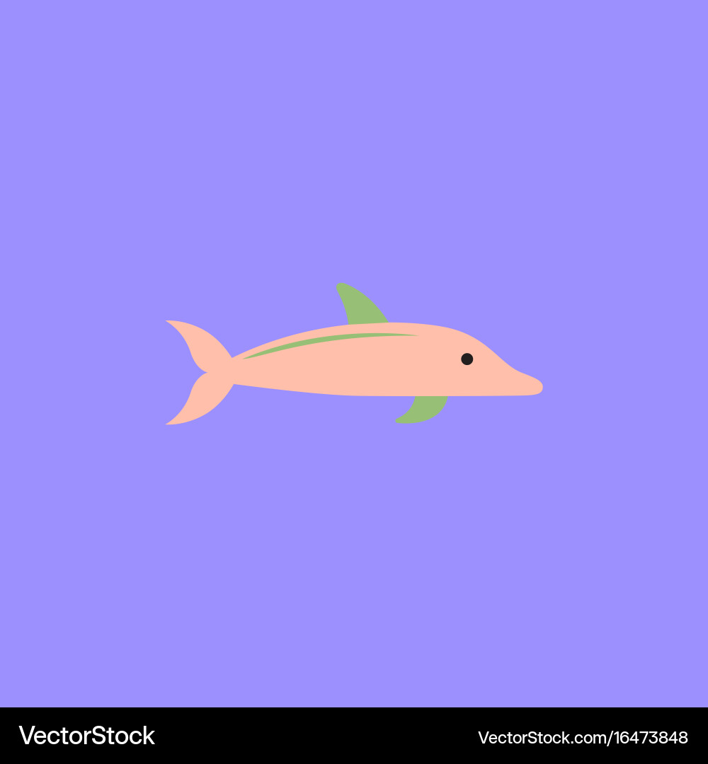 Dolphin delphinus delphis vector image