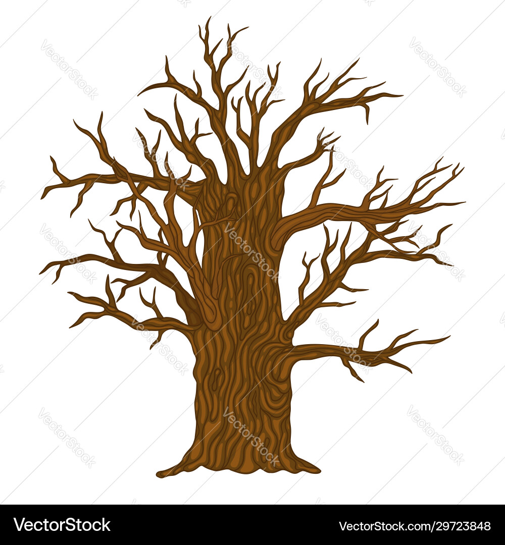 Tree without leaves isolate on a white background Tree without leaves isolate on a white background vector image