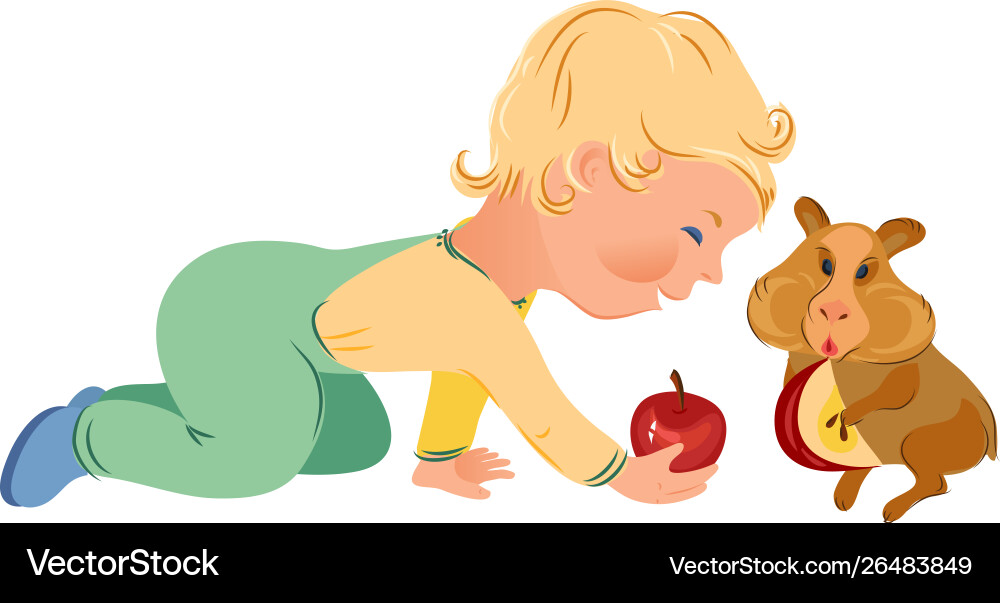 Blonde hair kid boy give red apple to hamster Blonde hair kid boy give red apple to hamster vector image
