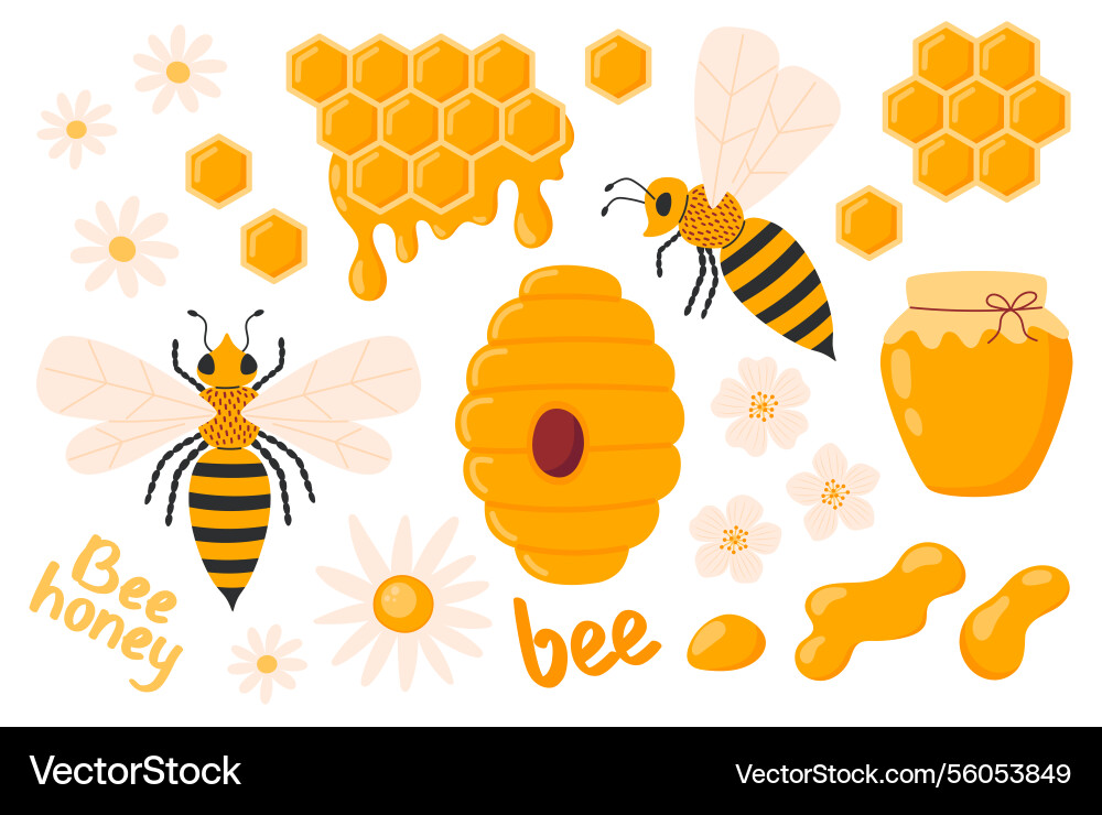 Honey set apiary collection objects jar Honey set apiary collection objects jar vector image