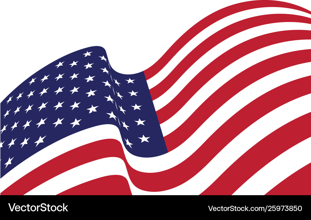 Flag american icon Flag american icon vector image