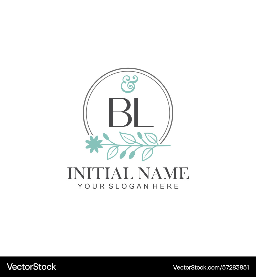 Bl initial logo templates with botanical elements Bl initial logo templates with botanical elements vector image