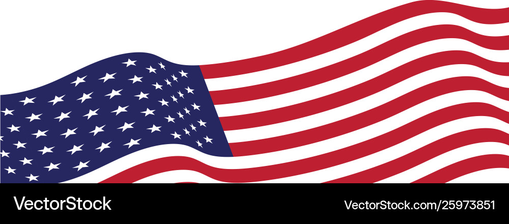 Flag american icon Flag american icon Vector Image