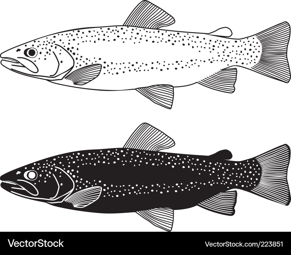 Trout Fish Silhouette vector image