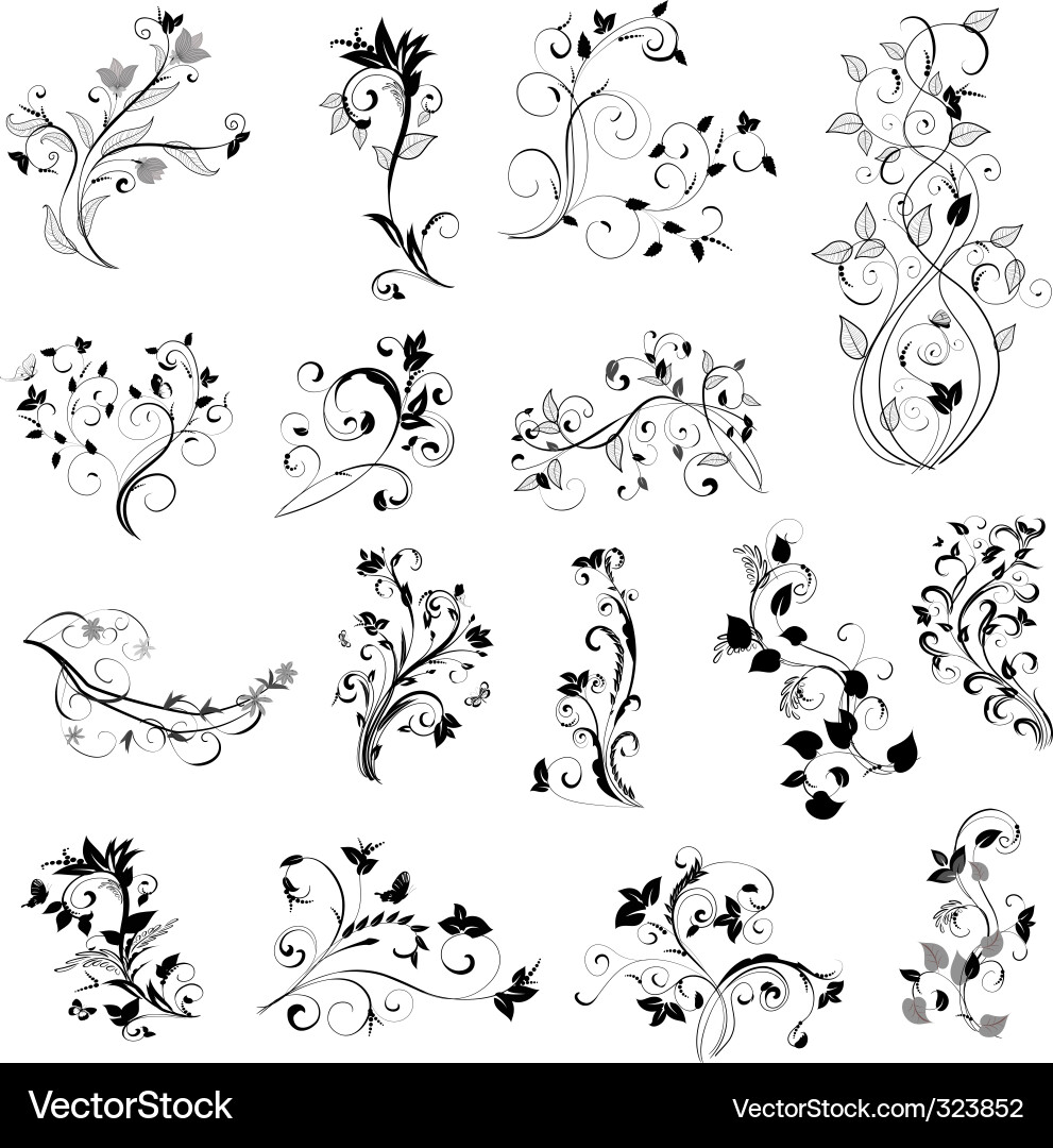 Elegant Floral Swirls vector image