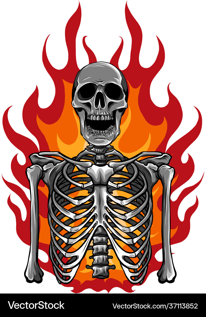 Fiery Skeleton in Flames – Royalty-Free Vector | VectorStock