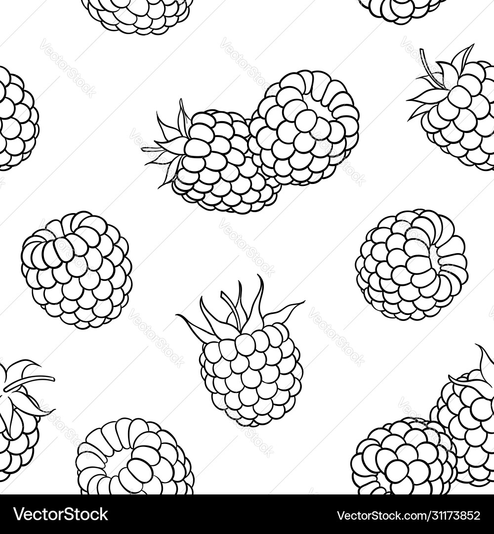 Raspberry Seamless Pattern vector image