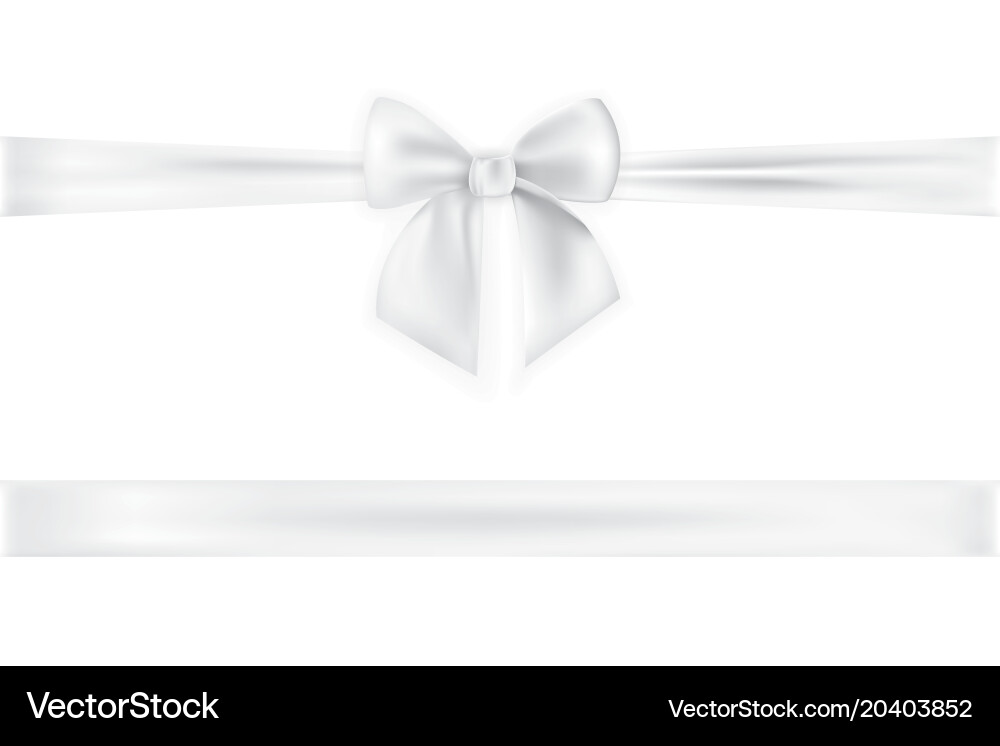 Realistic bow and ribbon isolated on transparent Vector Image
