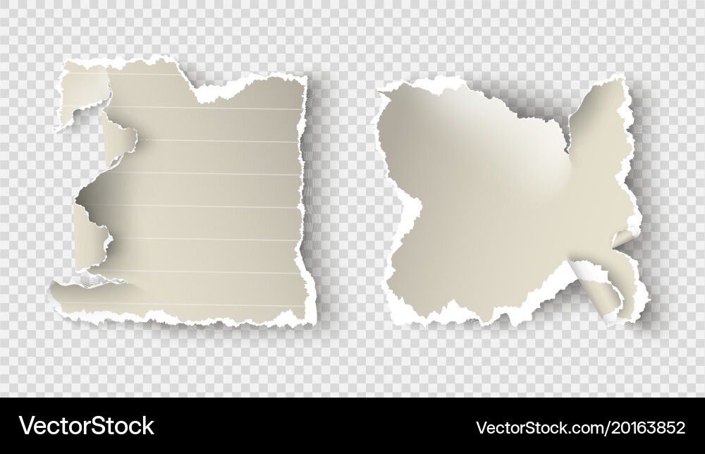 Torn Paper Elements & Templates Vector Image