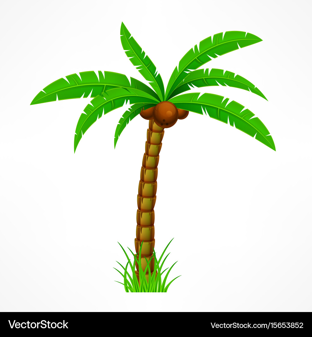 Tropical palm tree Royalty Free Vector Image - VectorStock