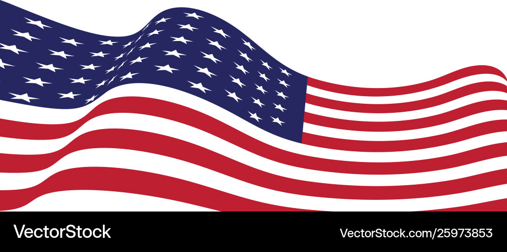 Flag american icon Flag american icon vector image
