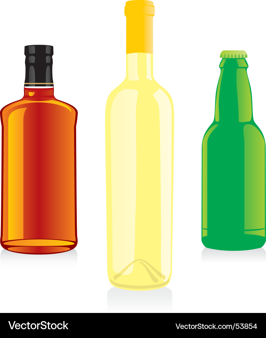 Bottles of Alcohol - Still Life vector image