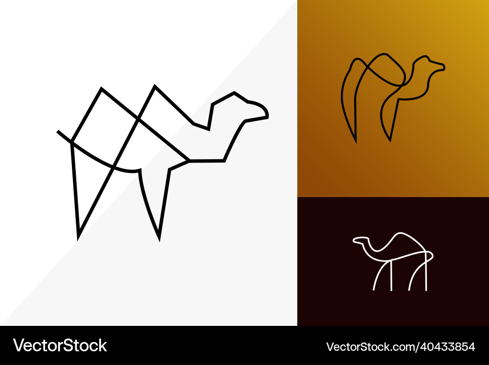 Camel drawn in one line different variations Camel drawn in one line different variations vector image