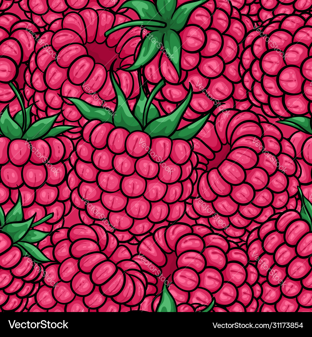 Pink Raspberry Pattern vector image