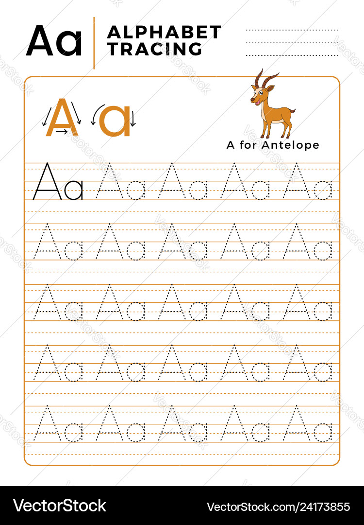 Letter a alphabet tracing book with example Letter a alphabet tracing book with example vector image