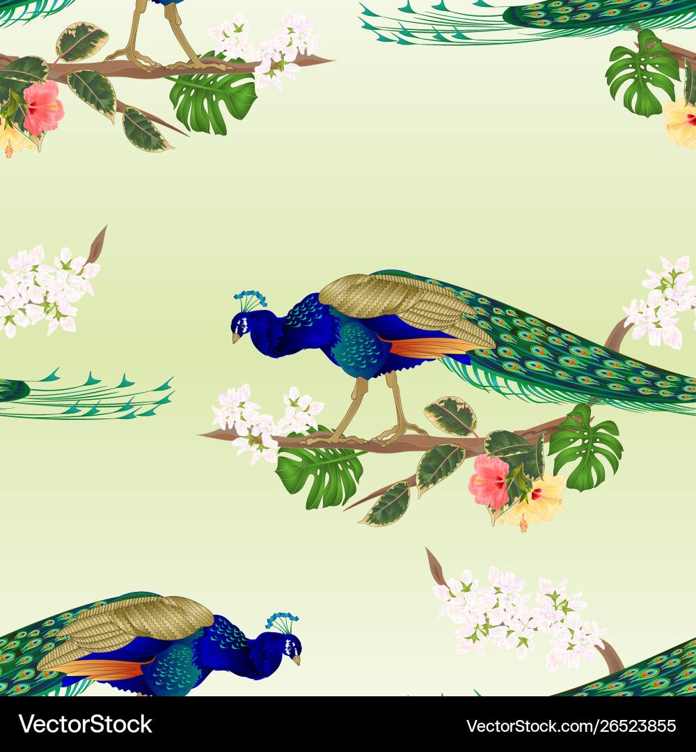 Peacock Tropical Watercolor Texture Vector Image