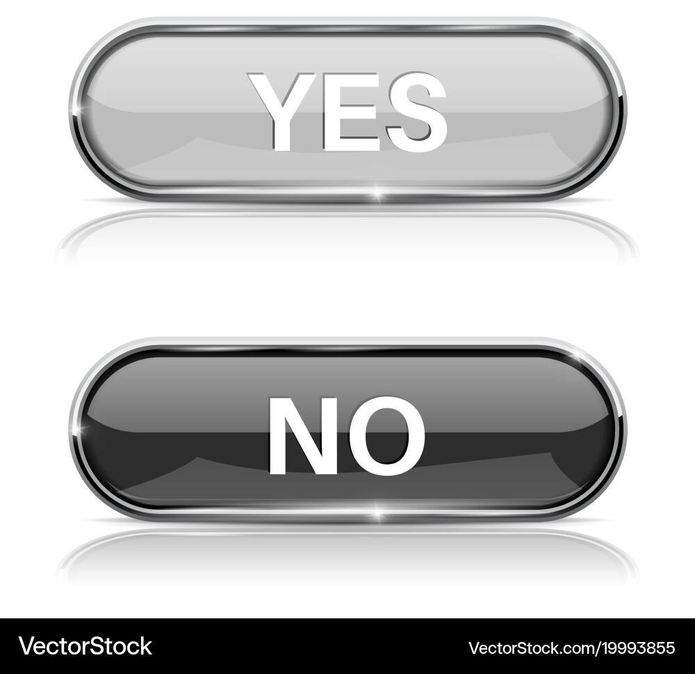 Yes and no buttons shiny oval web icons vector image