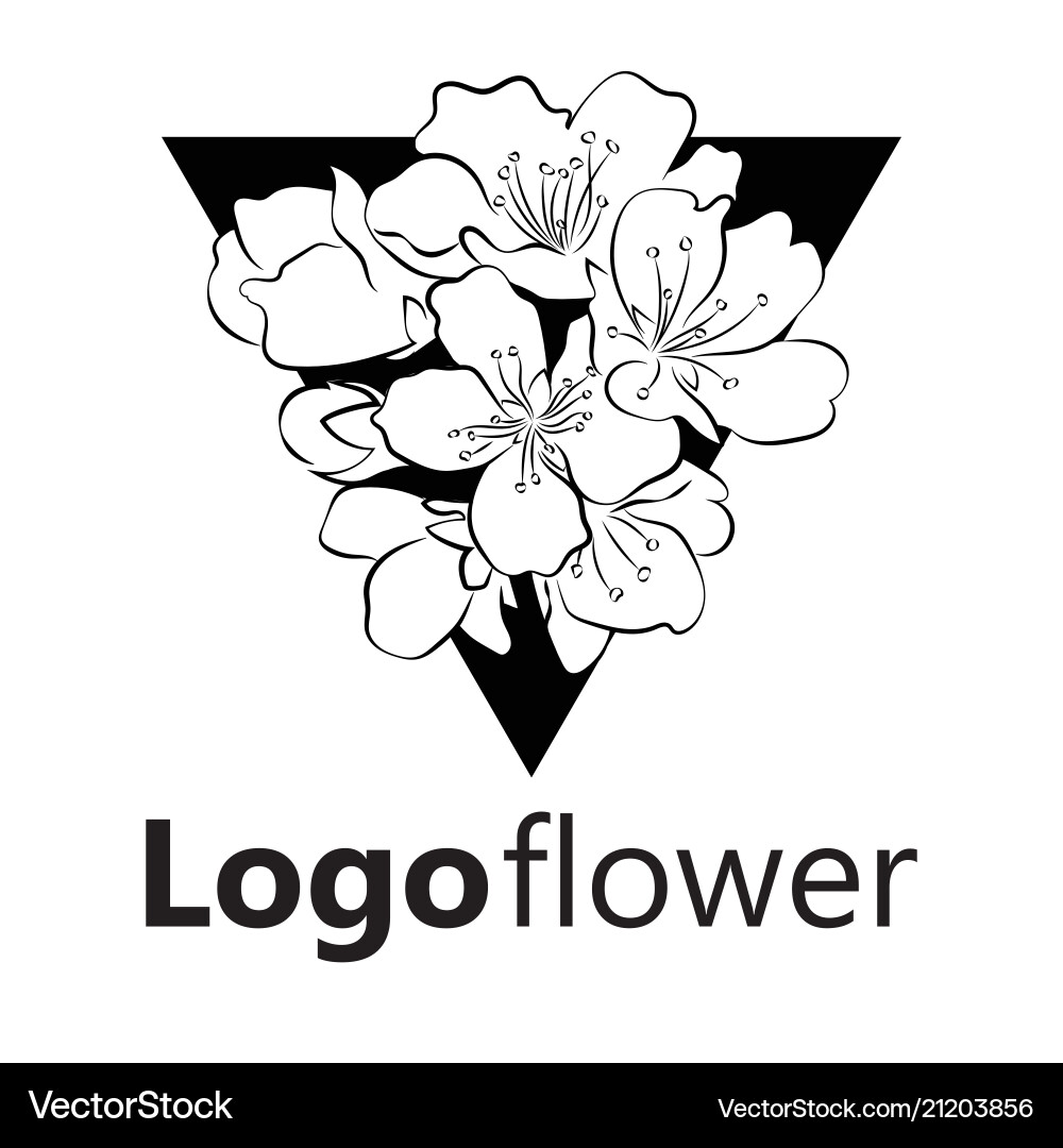 Blooming cherry sakura branch with flower buds Blooming cherry sakura branch with flower buds vector image