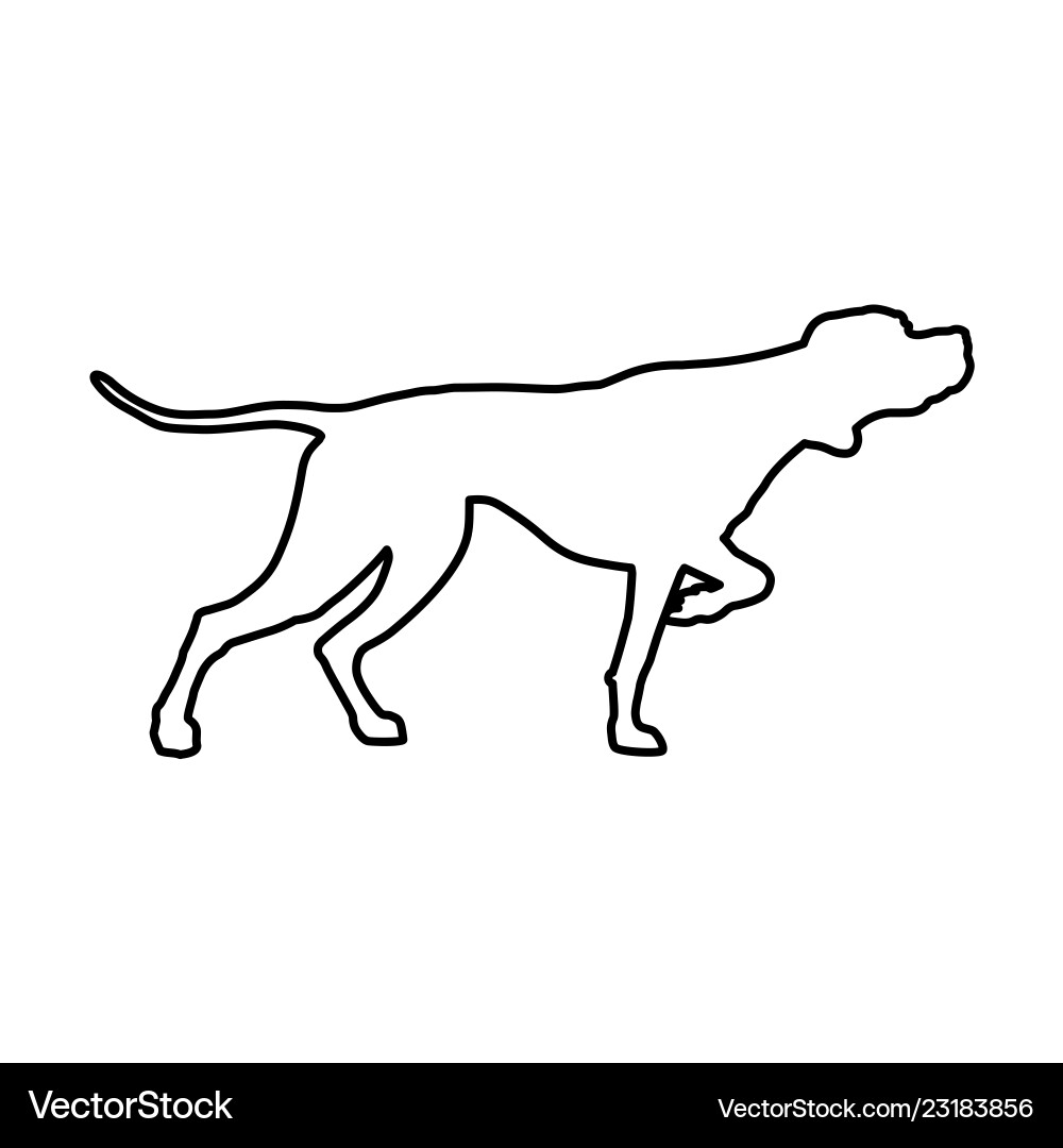English Pointer - Line Art Vector Image