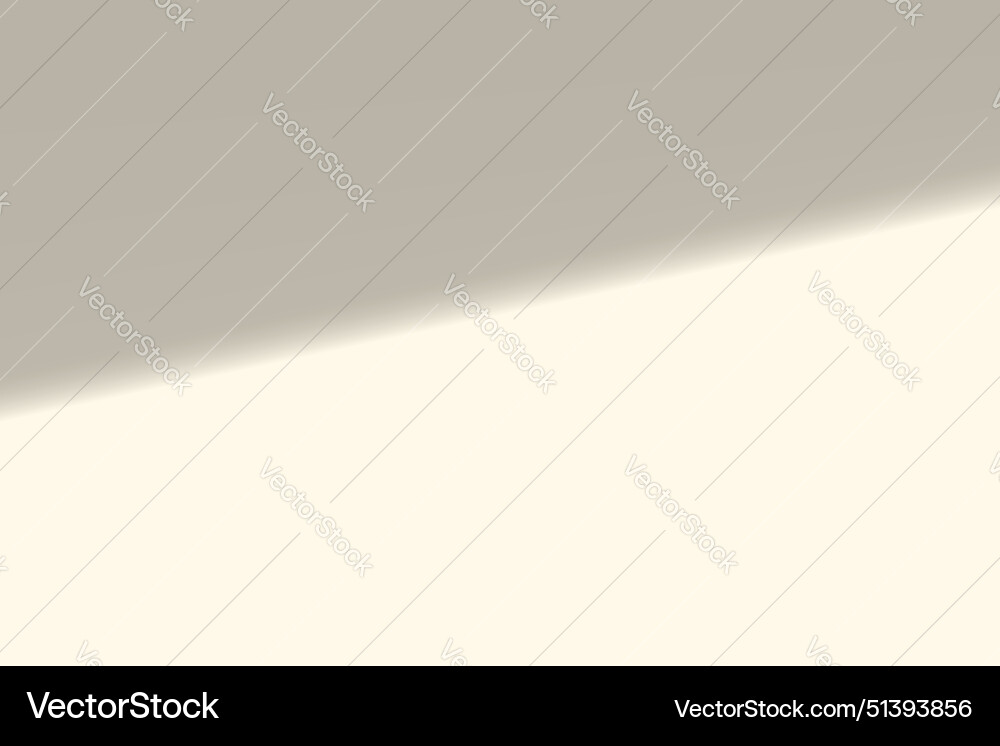 Shadow overlay effect soft realistic Vector Image