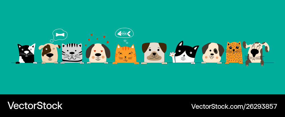 Funny Dogs and Cats Friendship Vector Image