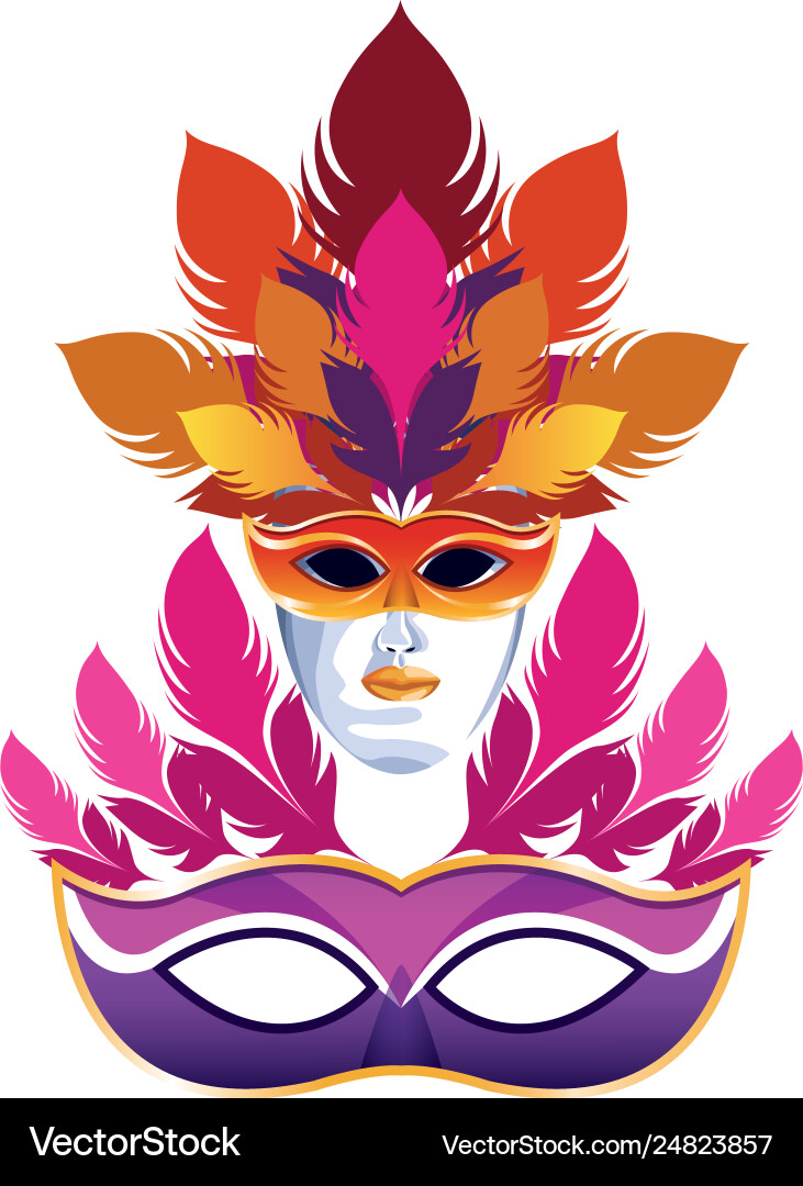 Masks with feathers Vector Image