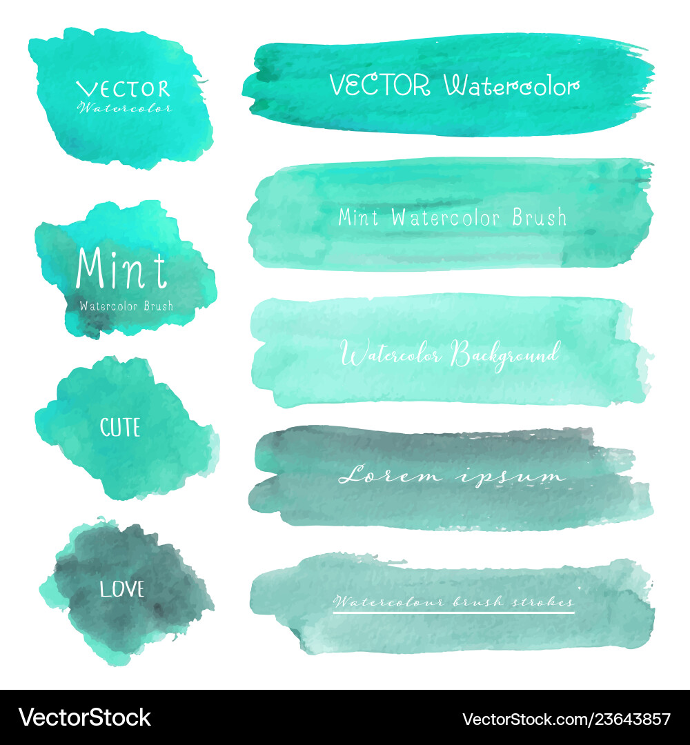 Set of mint watercolor on white background Set of mint watercolor on white background vector image