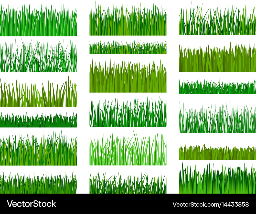 Green Grass Border Pattern Royalty Free Vector Image