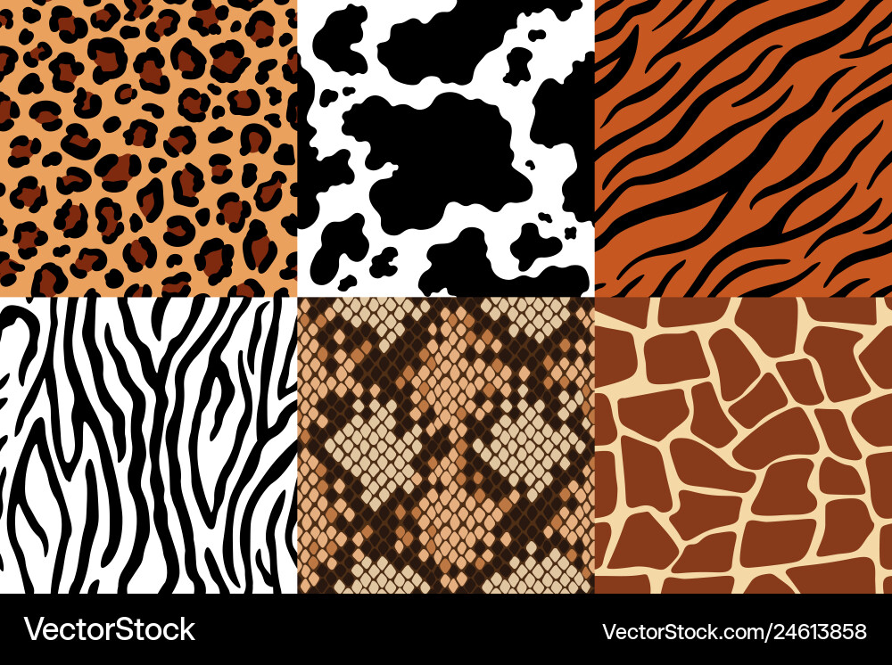 Leopard and Zebra Print Pattern vector image