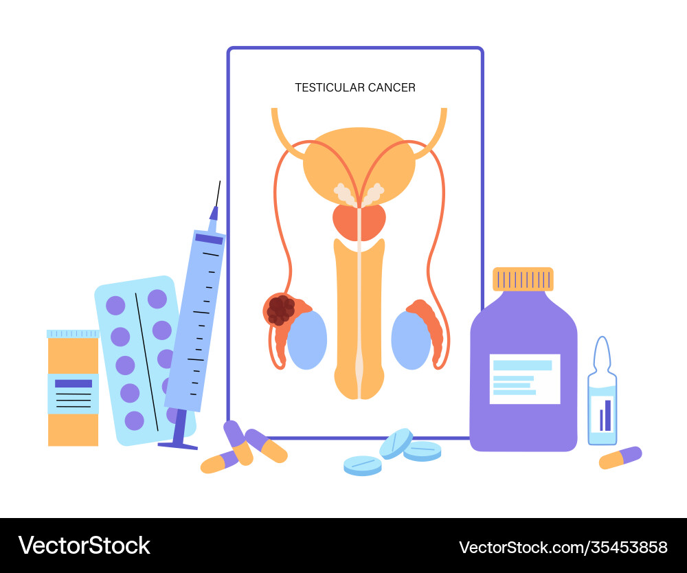 Man reproducive system problems Man reproducive system problems vector image