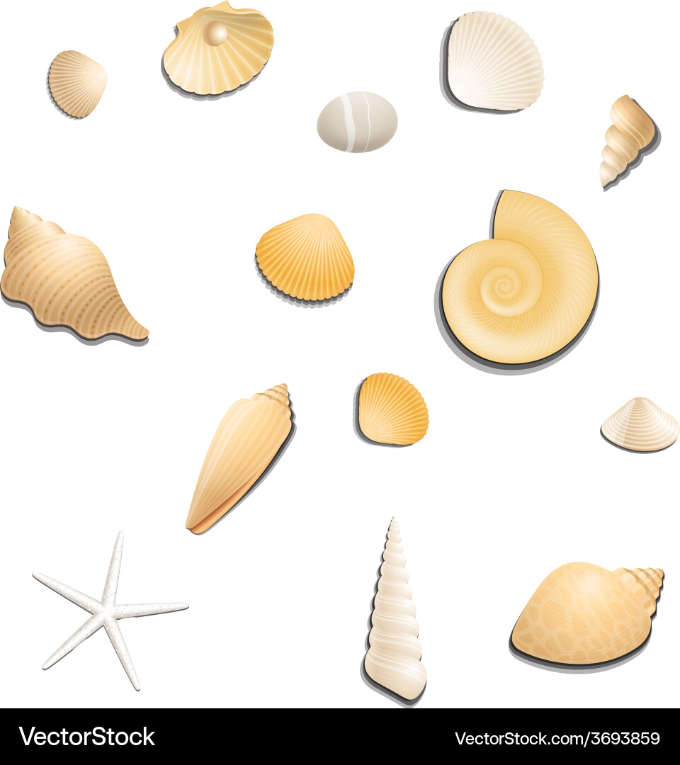 Sea Vector Image