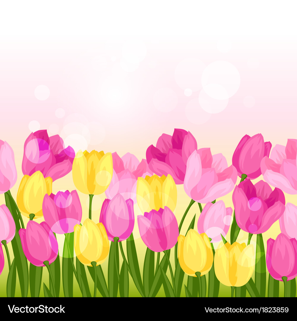 Spring Tulips Seamless Pattern vector image