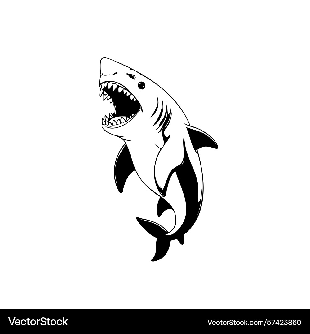 Shark with menacing jaws showing sharp teeth Vector Image