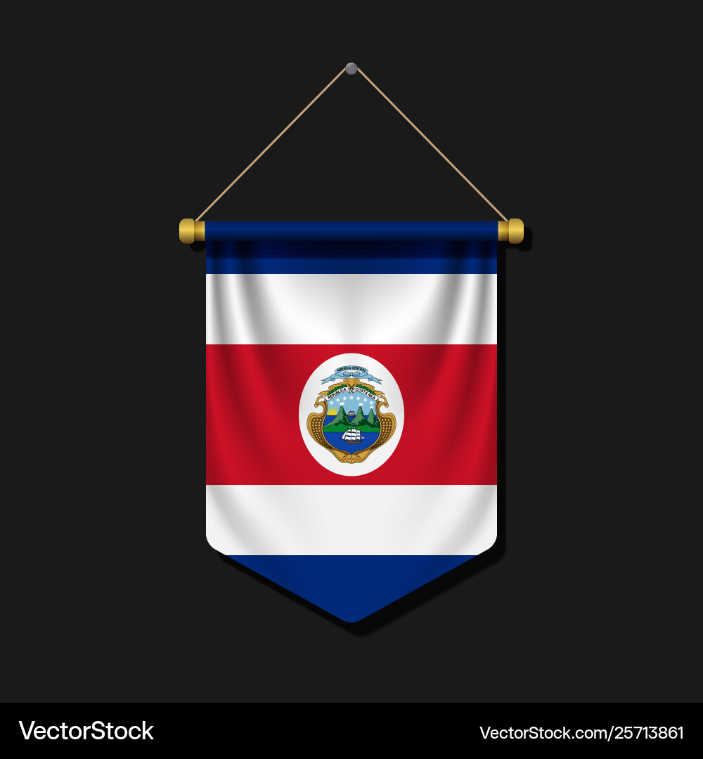 3d realistic pennant with flag 3d realistic pennant with flag vector image