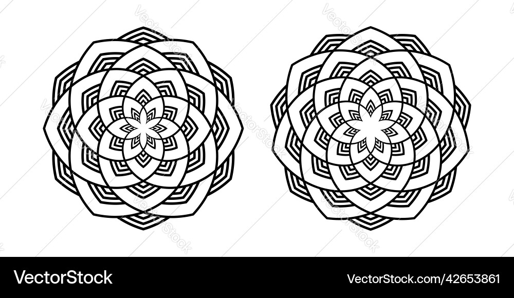 Intricate Circle Patterns vector image