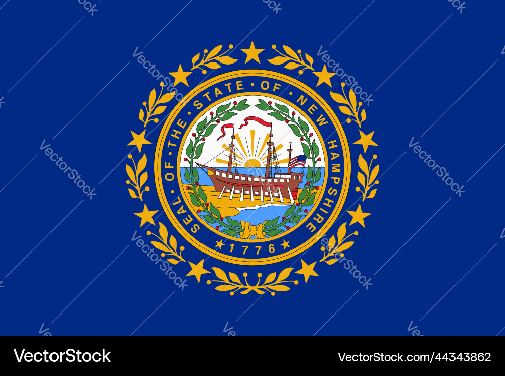 Flag of new hampshire official colors flat Flag of new hampshire official colors flat vector image