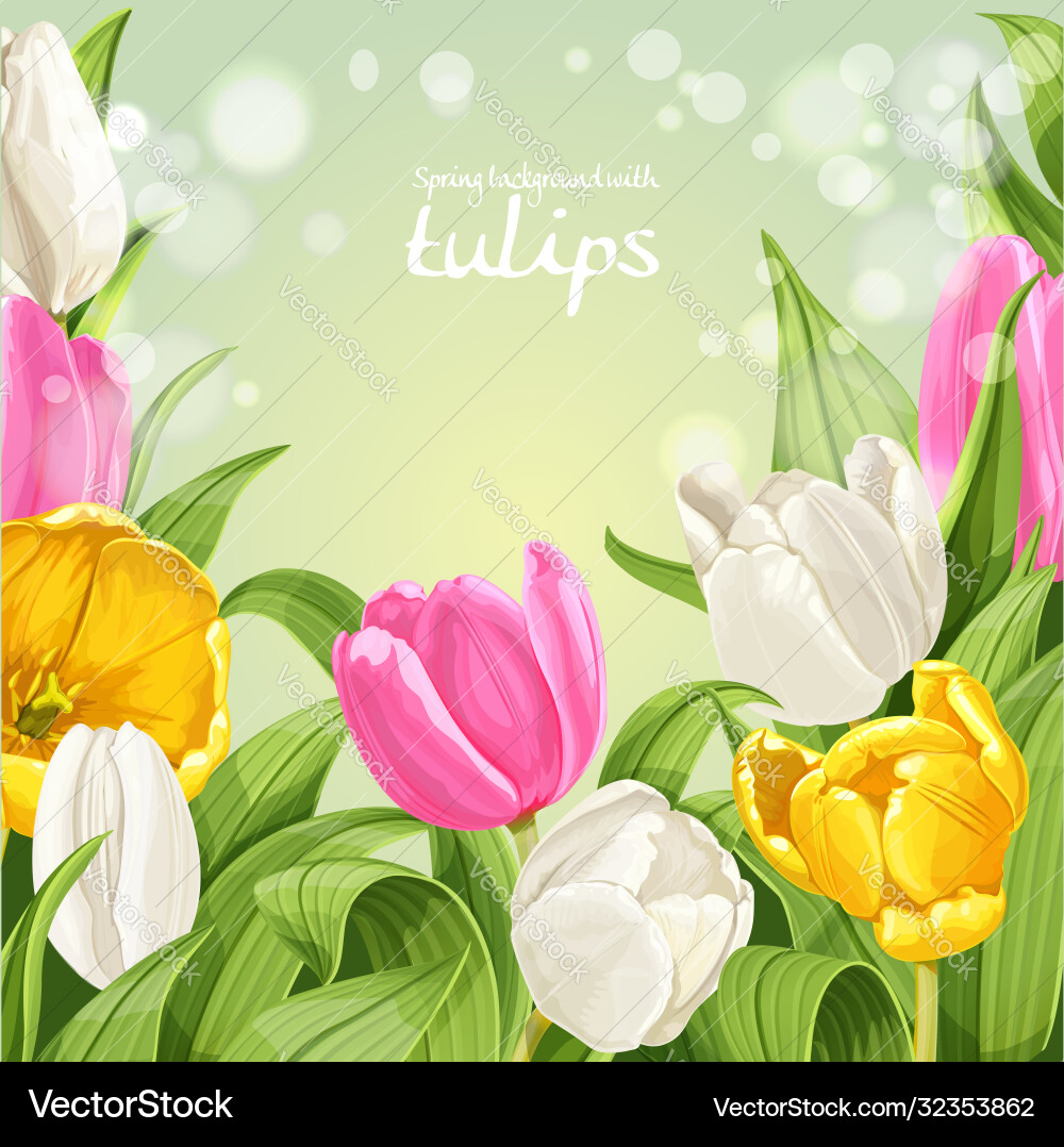 Green background pink white and yellow tulips Green background pink white and yellow tulips vector image