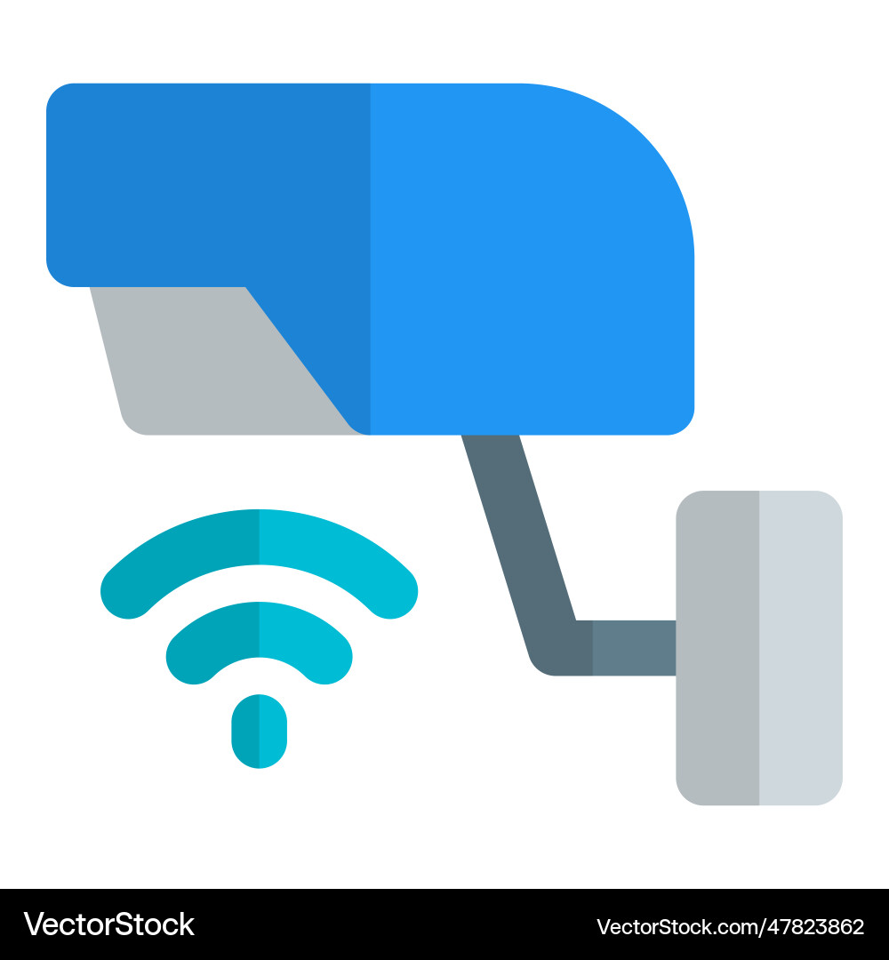 Monitoring with a wireless security camera Vector Image