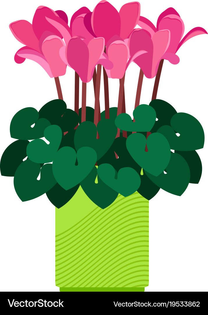 Rosa Cyclamen Blume in Pot vektorbild