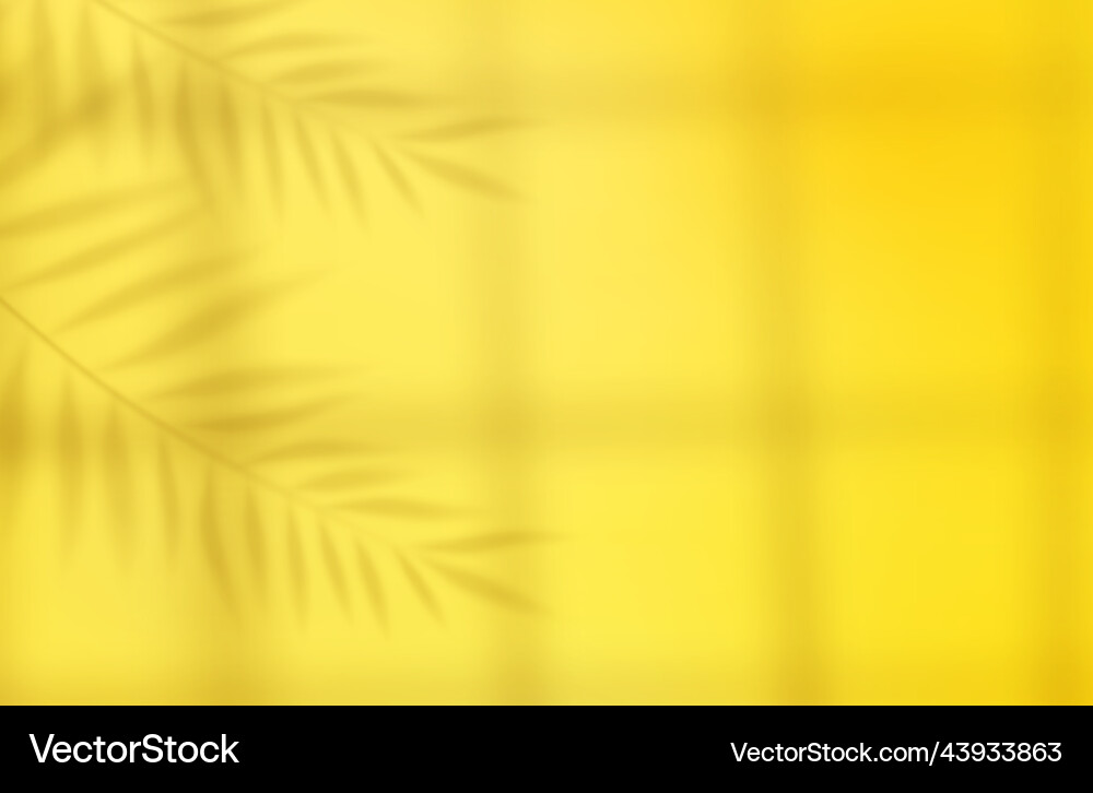 Empty studio abstract background Empty studio abstract background vector image