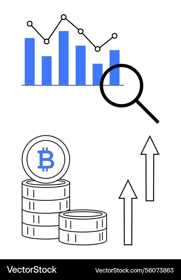 Financial data analysis with graph bitcoin stacks Financial data analysis with graph bitcoin stacks vector image
