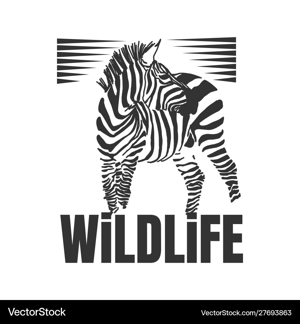 Hand drawn zebra with wildlife text isolated Vector Image
